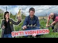 Viticulture transition et consigne chez des chti vignerons  la plus belle ferme de france 20241