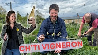 Viticulture, transition et concigne chez des Ch’ti Vignerons : la Plus belle ferme de France 2024/1