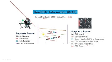 Read DTC Information | 17 Sub Functions Explained | Learn Automotive |