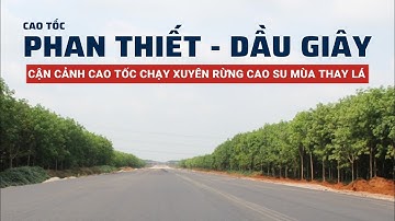 Cận cảnh cao tốc Phan Thiết - Dầu Giây chạy xuyên rừng cao su mùa thay lá