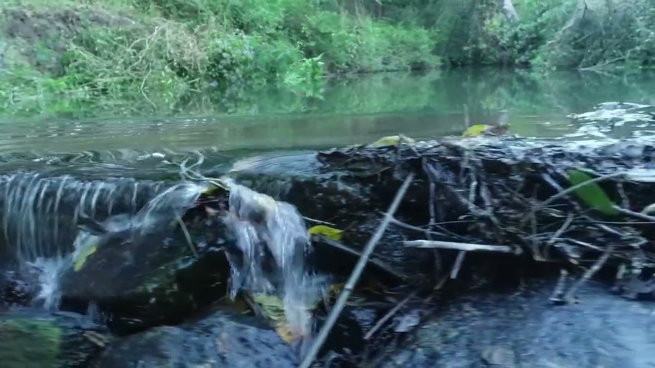 Watershed Check Dam Video, Arakalgudu Taluk Hassan District