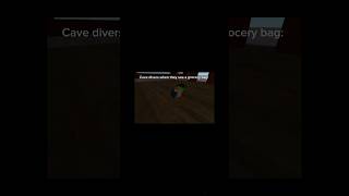 Cave Divers When They See Bag