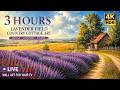 🌿3 Hours Lavender Field Cottage 4K HDR 🌿 Relaxing Countryside Summer TV Art Screensaver