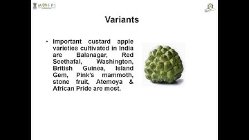 PowerPoint Presentation on Custard Apple Kulfi Processing (under PMFME Scheme) - ENGLISH