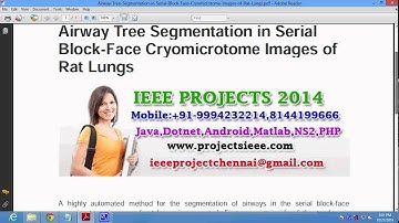 Airway Tree Segmentation in Serial Block Face Cryomicrotome Images of Rat Lungs