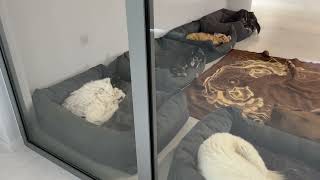 Starting the Day With a Lot of Rain! - Takis Shelter