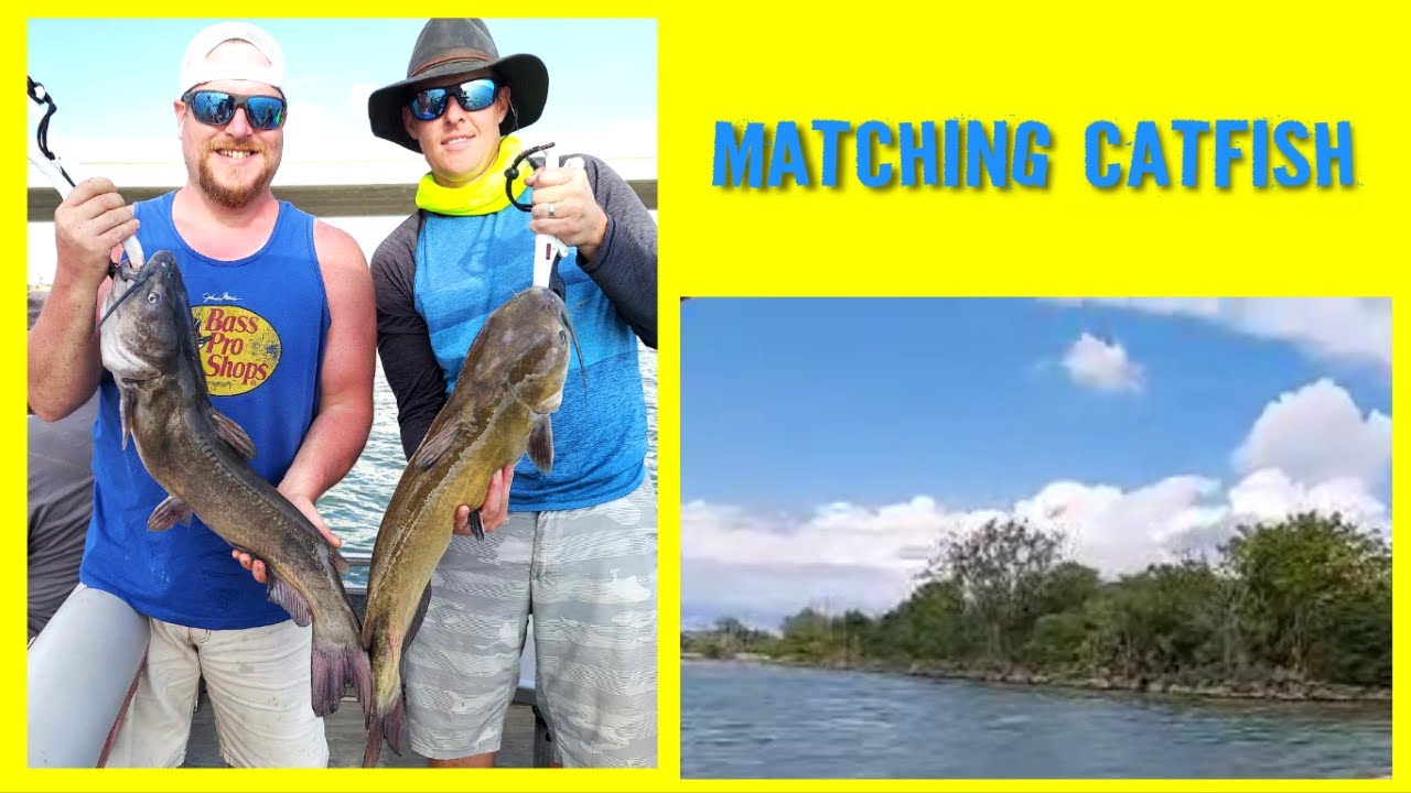 What an EXTRAORDINARY Day of Catfishing on the Sandusky Bay! YouTube