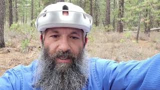 Digit Datum impressions after Whoops 1