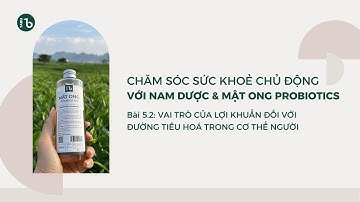 Vai Trò Của Lợi Khuẩn Đối Với Đường Tiêu Hóa Trong Cơ Thể Người