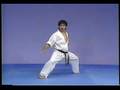 Karate Kyokushin Kata Gekisai Sho 