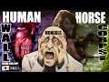 Japan's Psychotic War Tactics Against The Mongols [Drunk Japanese HYPER ANALYZE]