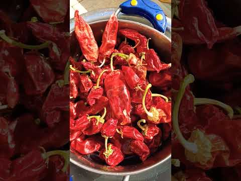 تحضير عولة فلفل احمر مرحي