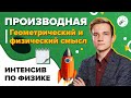 Физика. ЕГЭ2021. Производная - физический и геометрический смысл