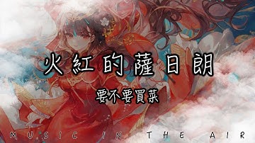 要不要買菜 - 火紅的薩日朗『一夢到天涯遍地是花香 流浪的人兒啊 心上有了她』【動態歌詞】