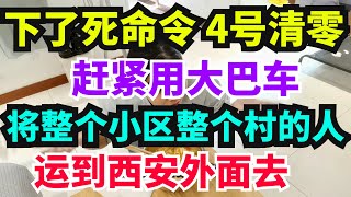 下了死命令，4号必须清零，时间紧，任务重，绿皮车全都开动起来，往西安市外运人
