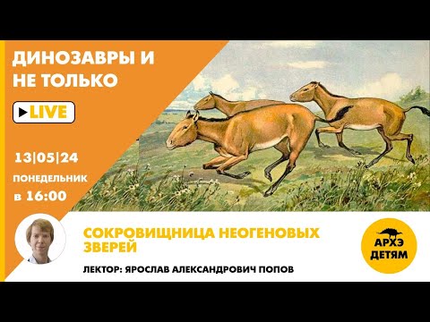 Видео: Занятие "Сокровищница неогеновых зверей" кружка "Динозавры и не только" с Ярославом Поповым