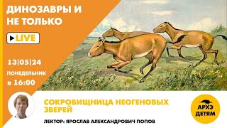 Занятие "Сокровищница неогеновых зверей" кружка "Динозавры и не только" с Ярославом Поповым