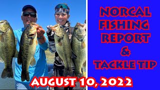 What's Biting? NORCAL WEEKLY FISHING REPORT + Tackle Tip | August 10, 2022