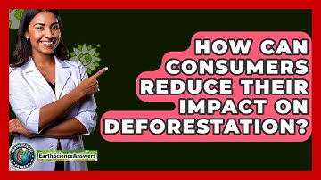 How Can Consumers Reduce Their Impact On Deforestation? - Earth Science Answers