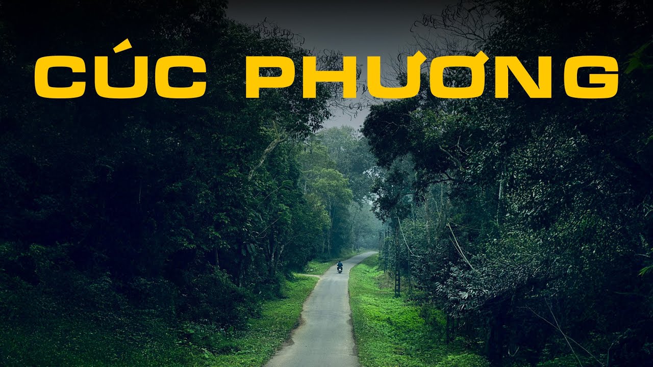 KHÁM PHÁ RỪNG CÚC PHƯƠNG - TRUNG TÂM CỨU HỘ ĐỘNG VẬT ĐẦU TIÊN TẠI VIỆT NAM