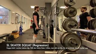 SL Skater Squat (Regression)
