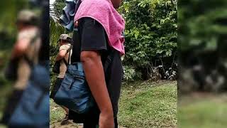 🔴TERVIRALL DAERAH TERPENCIL  ‼️Desa pangkalan Indarung | indah alam