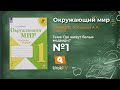 Задание 1 Где живут белые медведи? - Окружающий мир 1 класс (Плешаков А.А.) 2 часть