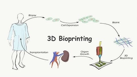Biology for Engineers, Module 5,  Introduction to Bioprinting Techniques and Materials