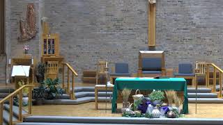 11:30 am Mass on   7-17-2026