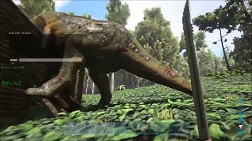 Ark Survival Evolved- Sword vs Rex