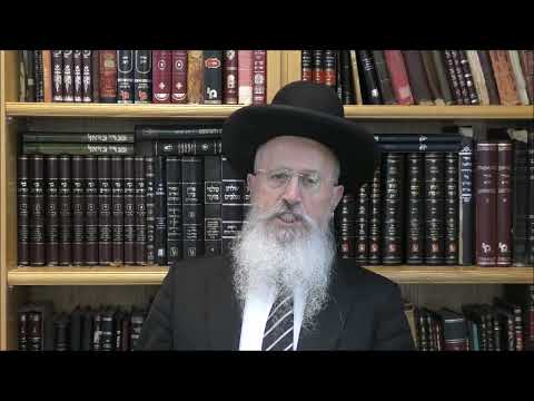 הגאון הרב אברהם יוסף שליט"א מה הדין של מאכל פרווה שבושל עם מאכל בשרי