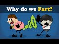 Why do we fart  mores  aumsum kids science education children