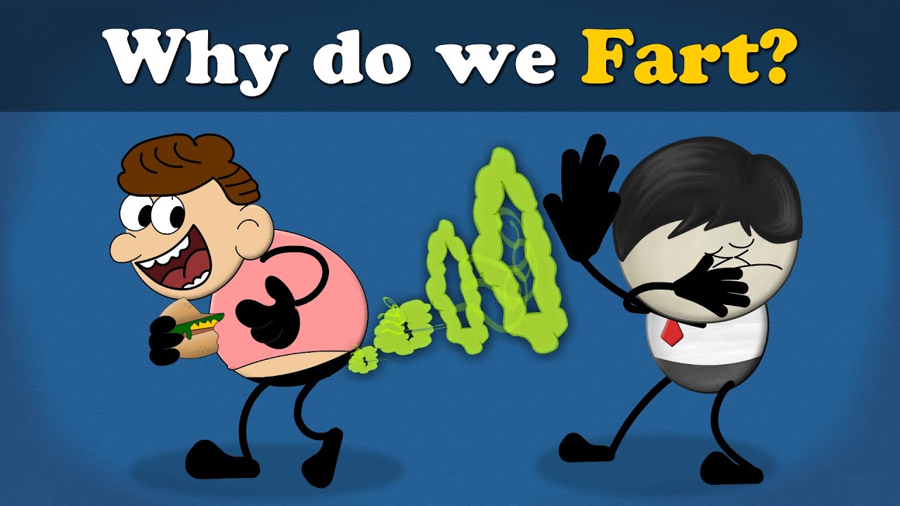 Why do we Fart? + more videos  #aumsum #kids #science #education #children  