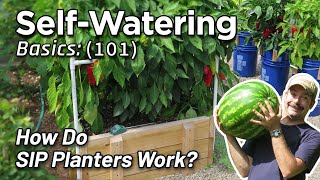 Self-watering Planter Basics: How to Design DIY Gardening, Sub-irrigated, Wicking Beds (Albopepper)