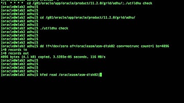 oracle asm diskgroup adhu check & repair disk header metadata