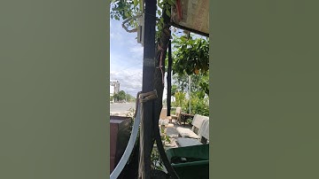 Số hồng riêng tai định cư Đặng Huỳnh 5x18 giá 3ty7LH 0988835982