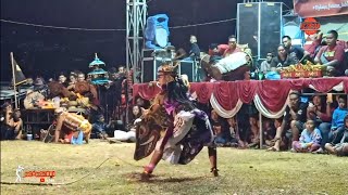 đź”´Live Perang Celeng Erina Nyak ROGO SAMBOYO PUTRO lap.Brimob Kediri đź”´Live Perang Celeng Erina Nyak ROGO SAMBOYO PUTRO lap.Brimob Kediri