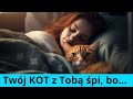 8 powodów dlaczego kot z Tobą śpi!🐈😴 Dlaczego koty lubią spać w łóżku?🛏 Czy Twój kot Cię kocha?!💗
