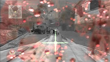 [MW2/1.14] Project Reborn