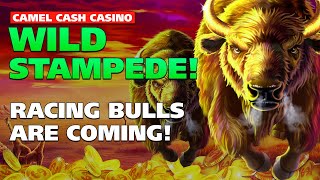 Win Billions of Coins with Grand Jackpot While Playing BUFFALO SLOTS from the comfort of your home😍 screenshot 1