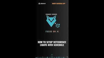 How To Setup Deterrence Lights With Schedule