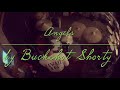 “Angels” by Buckshot Shorty : drum cover