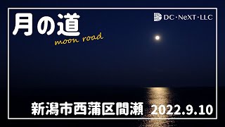 海月 10月中旬まで カレンダー2025 しあわせのうみ 世界一きれいな海（月めくり