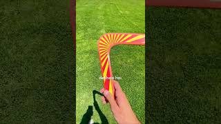 boomerang spinner