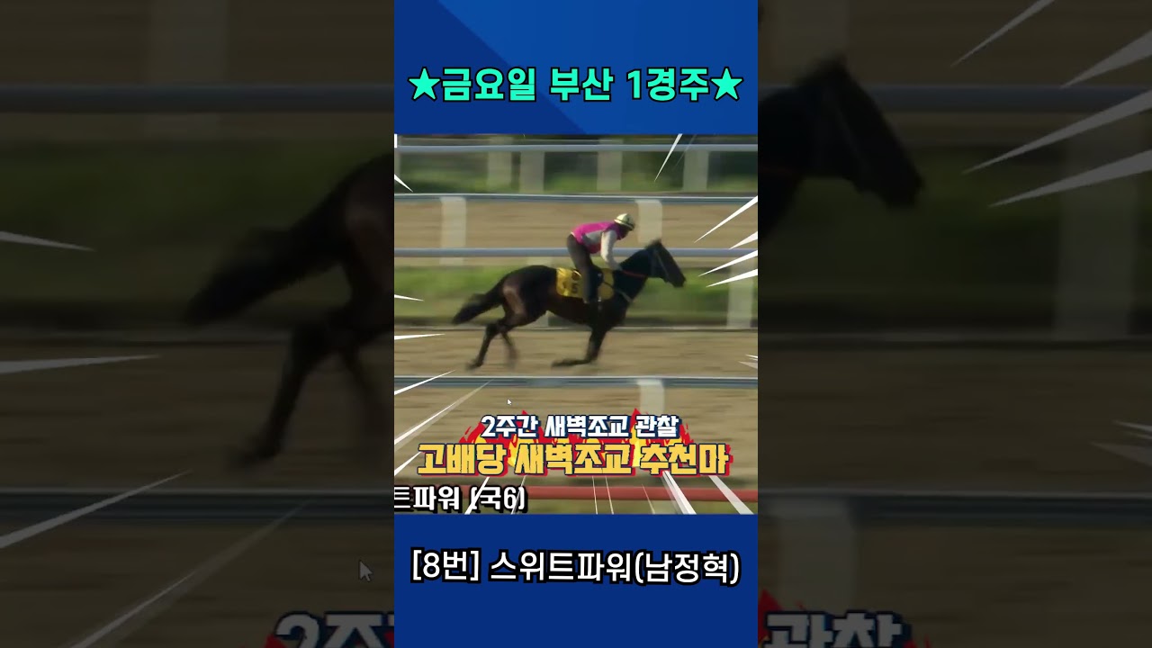 5월8일 금요일 부산 1경주!! 2주간 훈련보인 강백호의 새벽조교 쏘스마!!