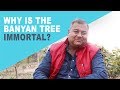 Why is the banyan tree considered immortal? | Peepal Baba