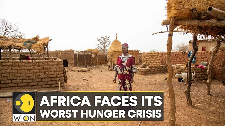 WION Climate Tracker | Africa faces its worst hunger crisis with millions struggling for food