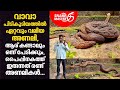 വ വ പ ട ക ട യത ത ൽ ഏറ റവ വല യ അണല ആര കണ ട ല ഒന ന പ ട ക ക Snakemaster EP 718 