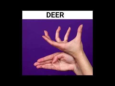 Hand Shadow Animals Ideas