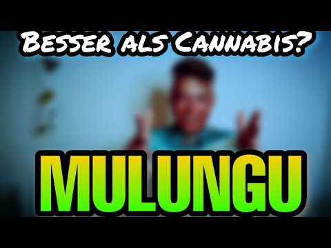 Mulungu DIE Cannabis-Alternative mit Muskelaufbau Schlafmittel WIRKUNG (ROHKOST BODYBUILDING)